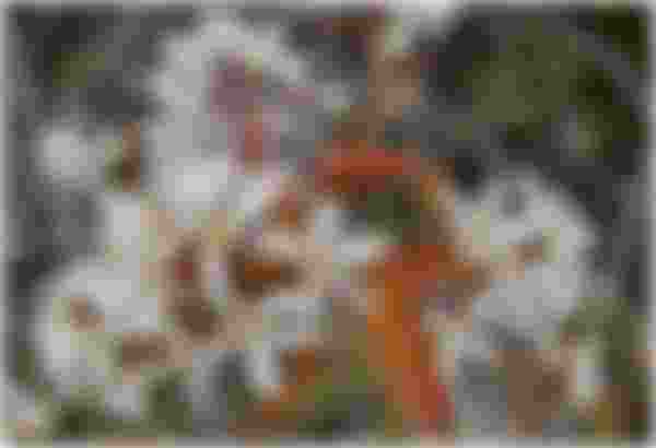 image alt text